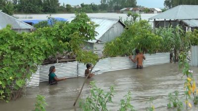 কুড়িগ্রামে পানিবন্দী কয়েক হাজার পরিবার